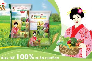 Thiết kế Bộ nhận diện thương hiệu Việt Nhật
