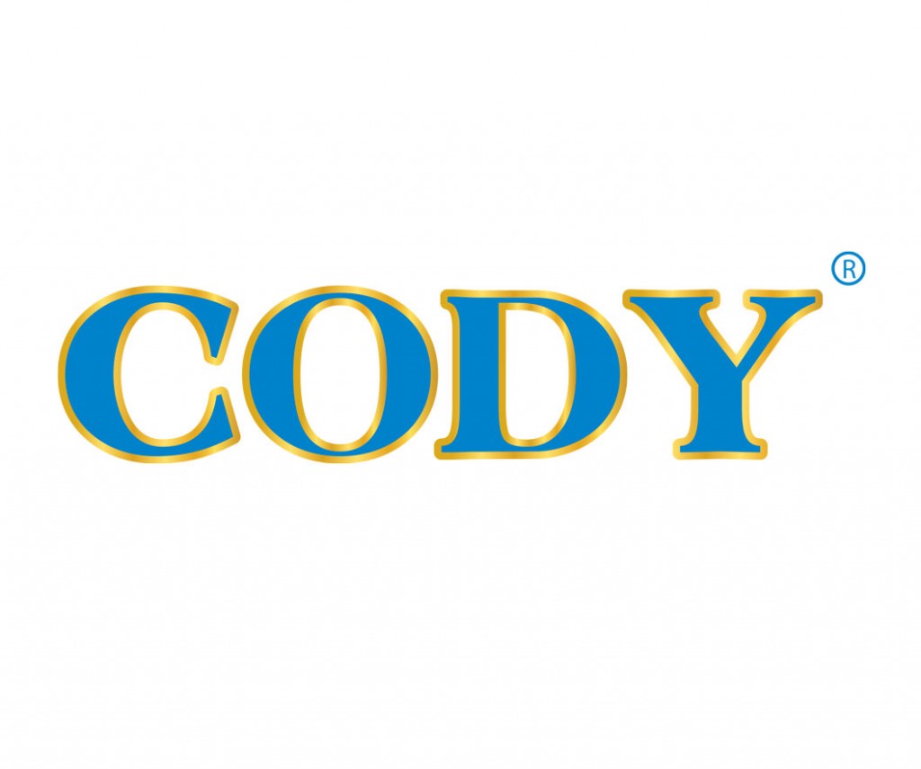 Thiết kế logo Cody