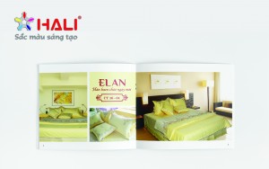 Mẫu thiết kế catalogue ELAN tại Hali