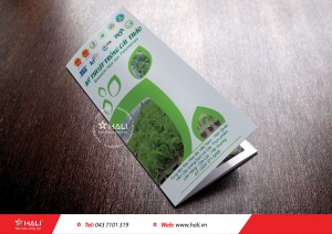 Thiết kế brochure Công ty Rau sạch