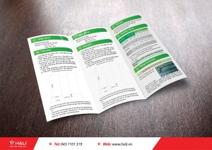 Thiết kế brochure