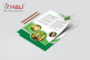 Các dự án thiết kế brochure do HALI thực hiện