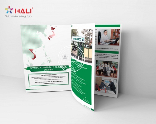 Thiết kế Brochure Thabilabco 2018
