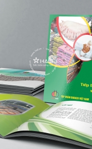 Kỷ yếu công ty Dabaco – 20 năm tiếp bước truyền thống